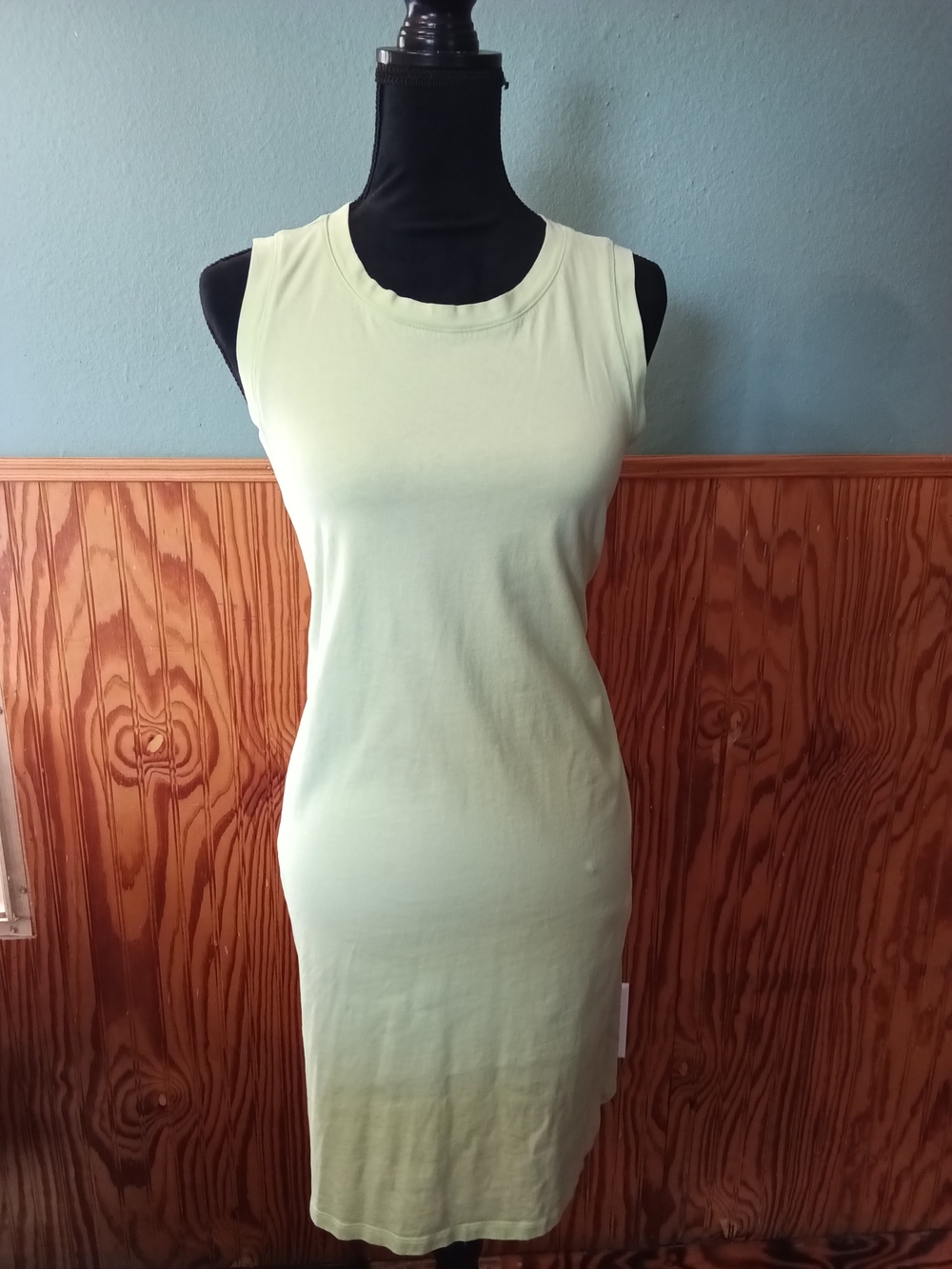 Sleeveless Crewneck Bodycon Dress - Light Green